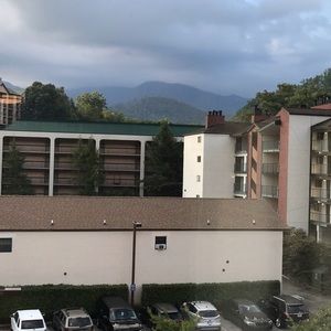 Meet your Posher, Darla